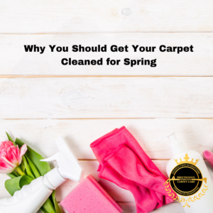 Why You Should Get Your Carpets Cleaned for Spring