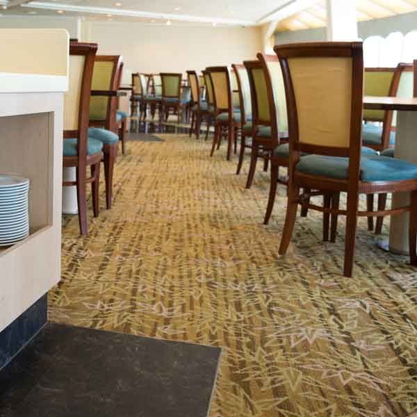 Commercial Carpet Cleaning in Apollo, PA