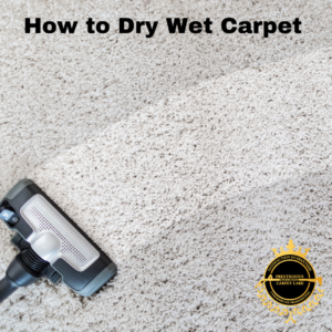 How to Dry Wet Carpet
