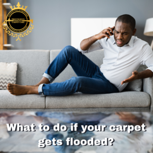 What to do if your carpet gets flooded