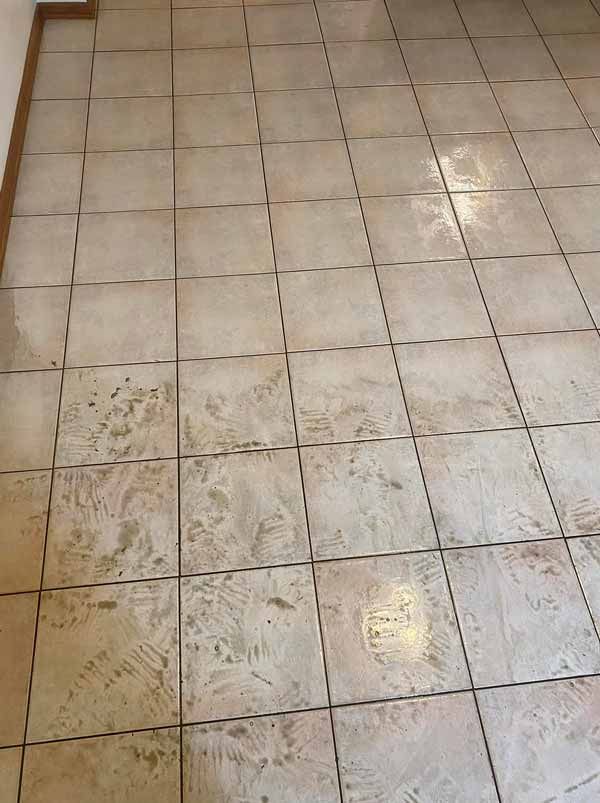 Tile and Grout Cleaning Results 1