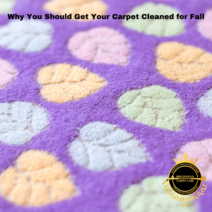 Why You Should Get Your Carpet Cleaning for Fall