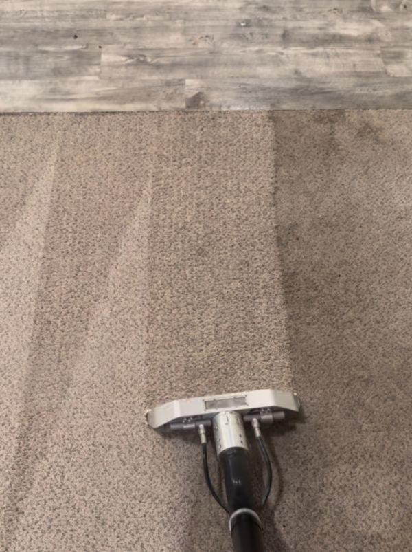 Carpet Cleaning Results 2