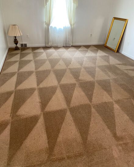 carpet cleaning results 3