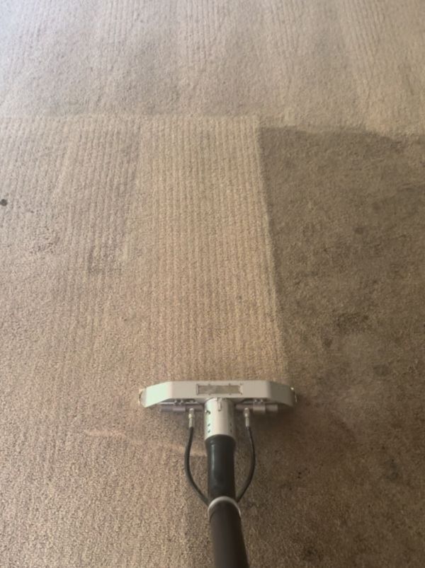 Carpet Cleaning Results 3