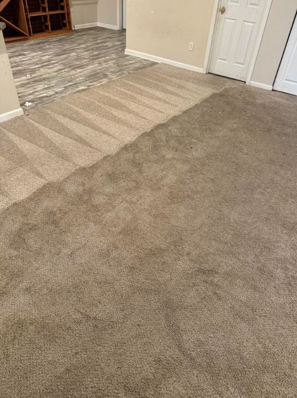 Carpet Cleaning Results