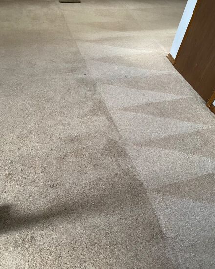 Carpet cleaning results 1