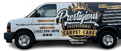 Image Removebg Preview (40) 1