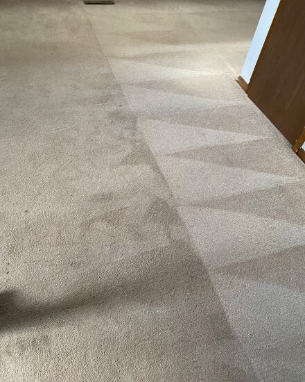 Carpet cleaning results 1